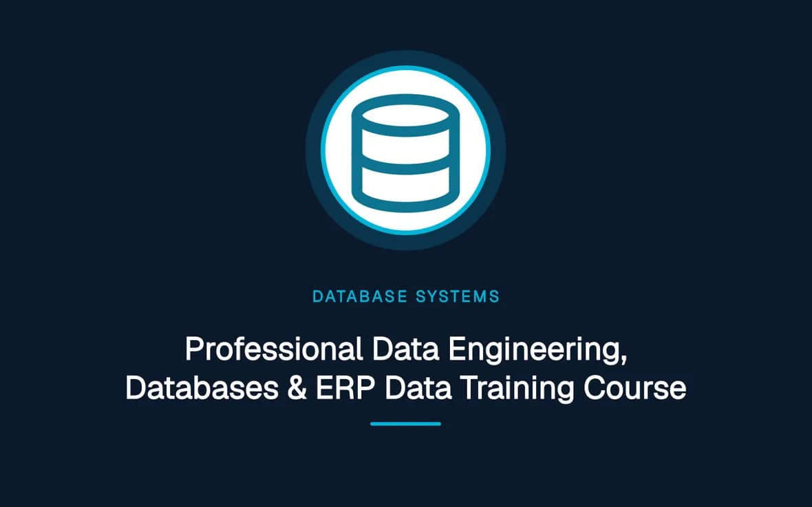 Professional Data Engineering, Databases & ERP Data Training Course — Database Management Systems training course
