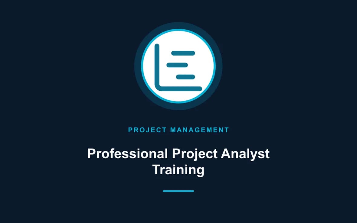 Professional Project Analyst Training — Program and Project Management training course