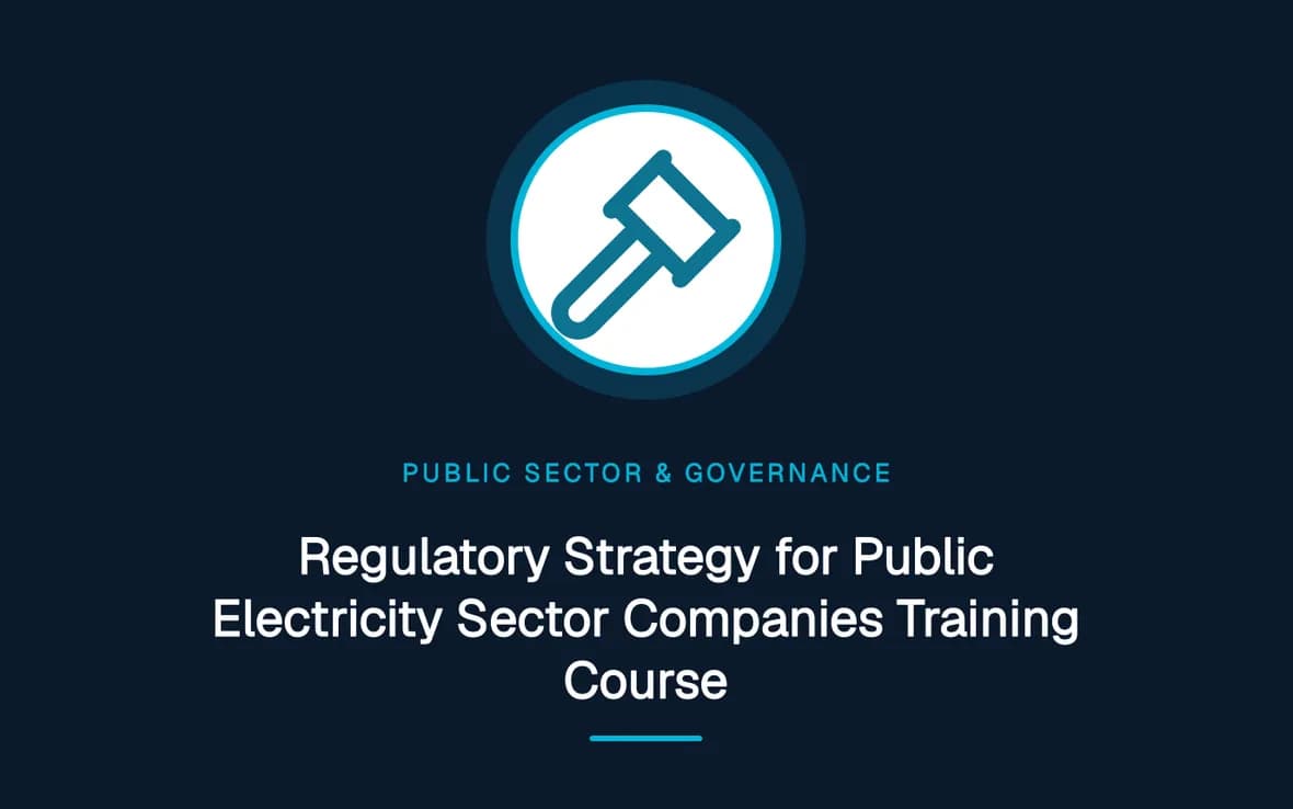 Regulatory Strategy for Public Electricity Sector Companies Training Course — Public Sector Leadership and Governance training course
