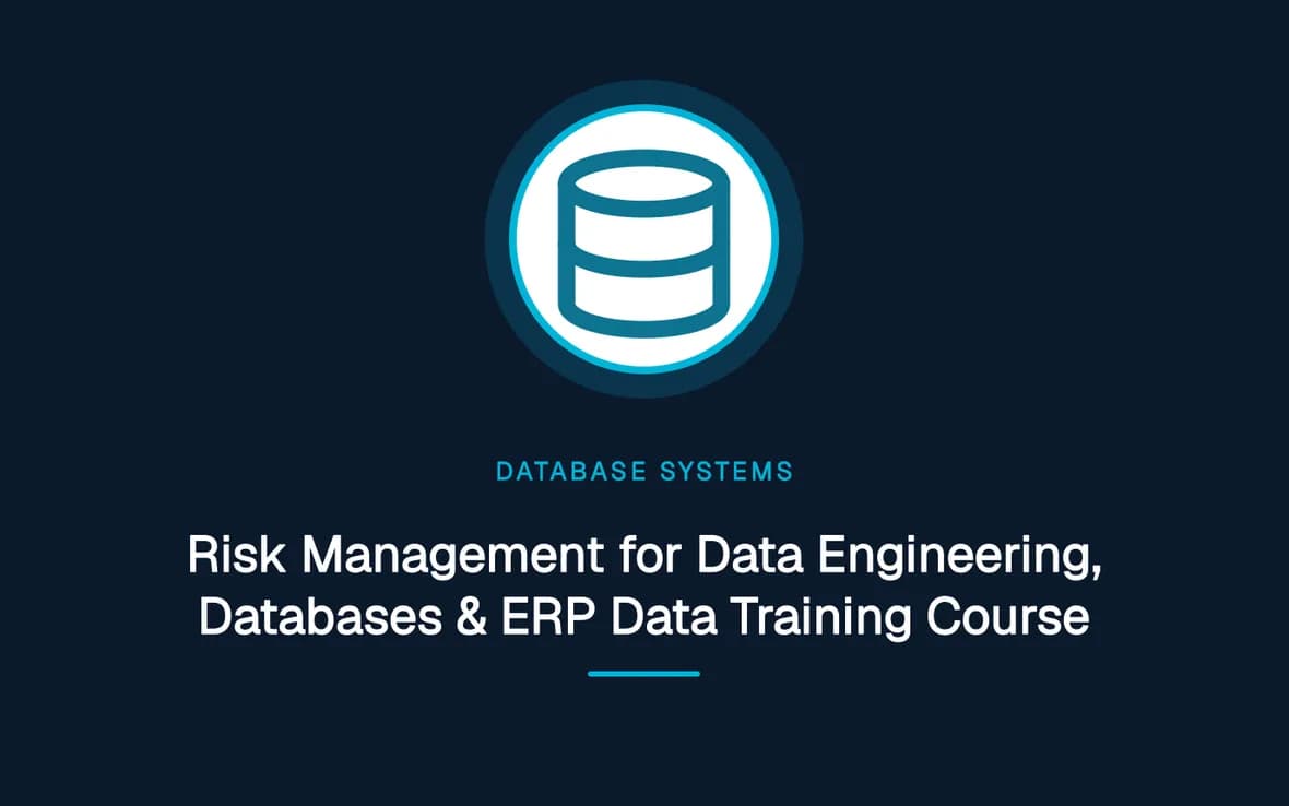 Risk Management for Data Engineering, Databases & ERP Data Training Course — Database Management Systems training course