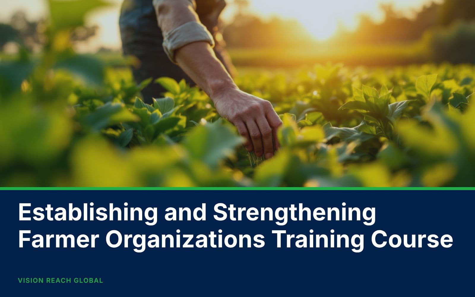 Establishing and Strengthening Farmer Organizations Training Course